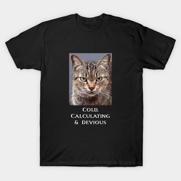 Funny Tabby Cat Lovers Sarcastic Cat For Men Women T-Shirt by Pine Hill Goods